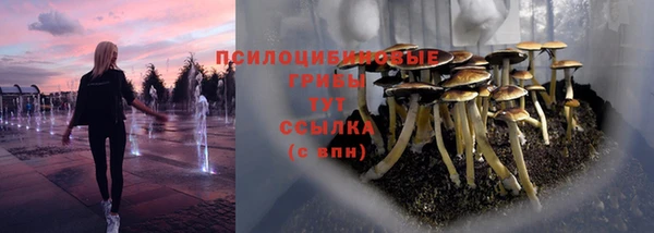 меф VHQ Гвардейск