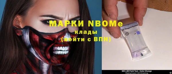 шишки Лабытнанги
