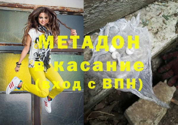 шишки Лабытнанги