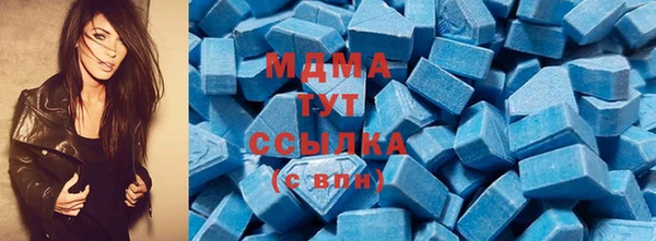шишки Лабытнанги
