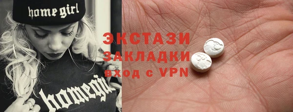 шишки Лабытнанги