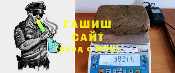 шишки Лабытнанги