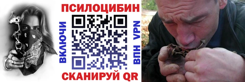 кракен tor  Новоржев  Галлюциногенные грибы мицелий  купить  